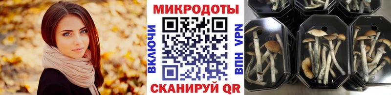 Псилоцибиновые грибы Magic Shrooms  omg ТОР  Норильск  сколько стоит 