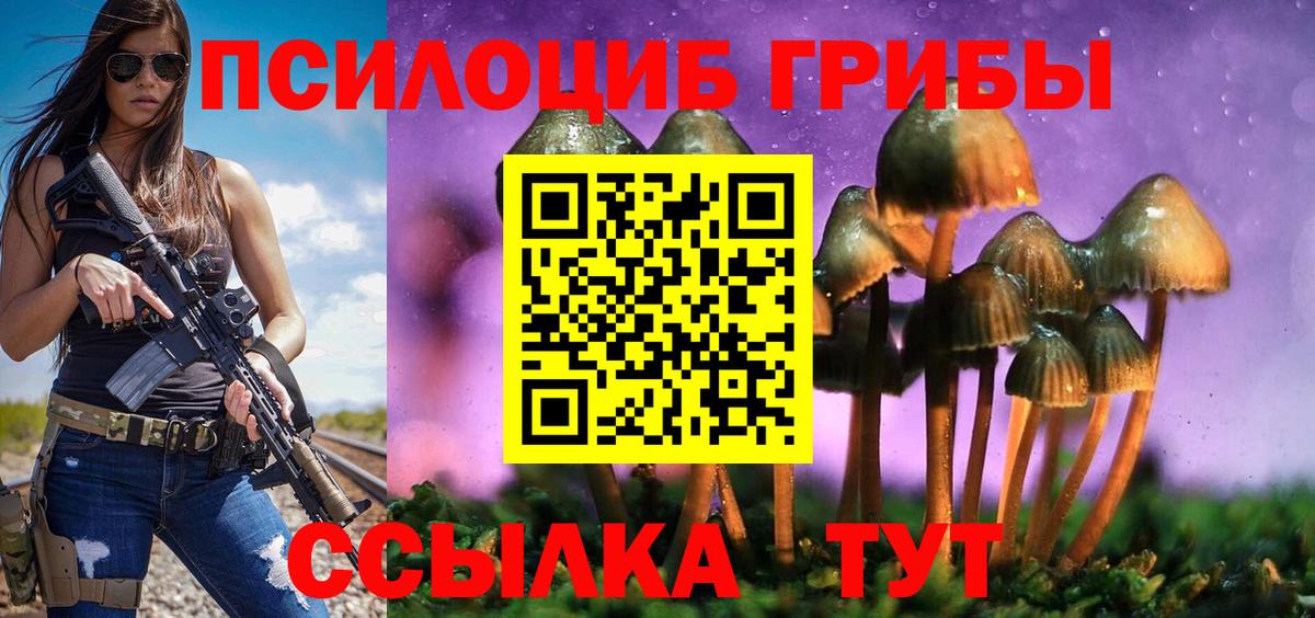 хочу   Вход с VPN  Норильск  Псилоцибиновые грибы ЛСД 